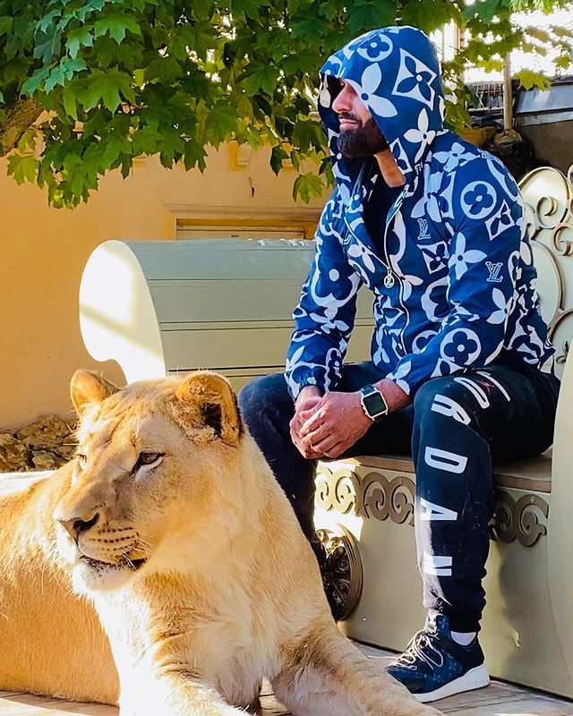 Депутат из Харькова задекларировал живого африканского льва (фото)